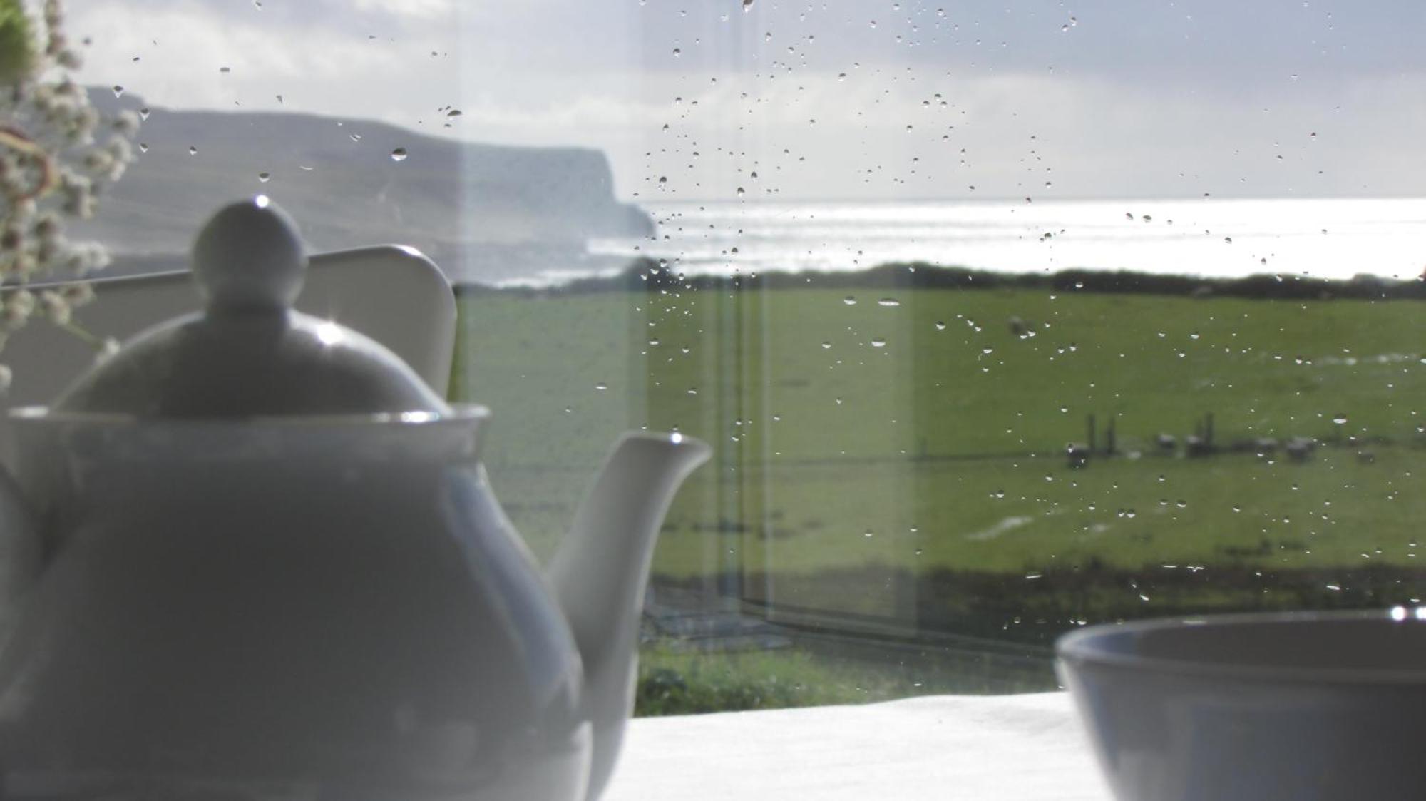 Ballyvoe House Doolin Bed and Breakfast Eksteriør billede