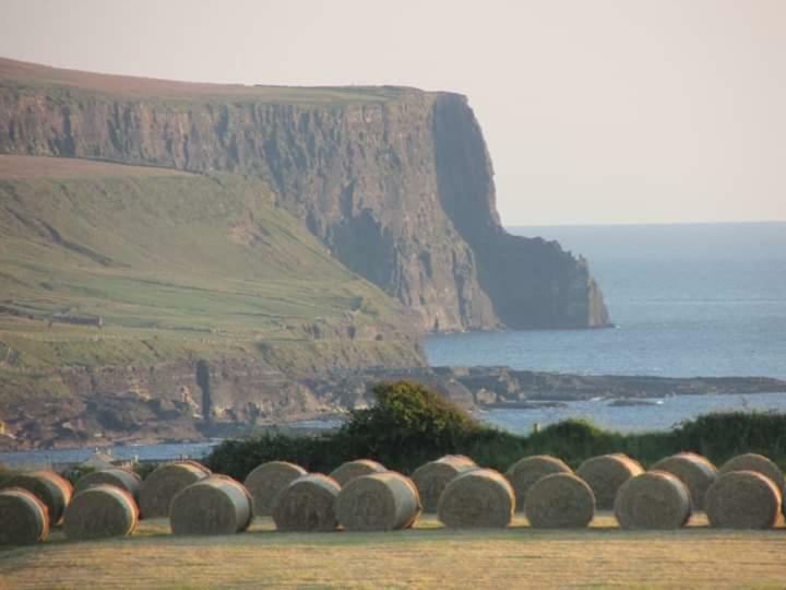 Ballyvoe House Doolin Bed and Breakfast Eksteriør billede